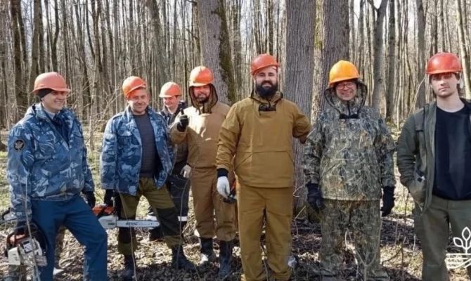 В Тульской области леса очищают от сухостоя и мусора