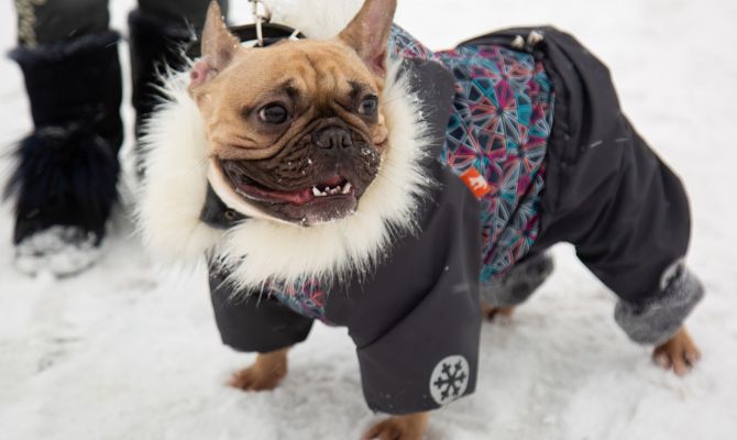 За сутки в Тульской области похолодает на 10 градусов