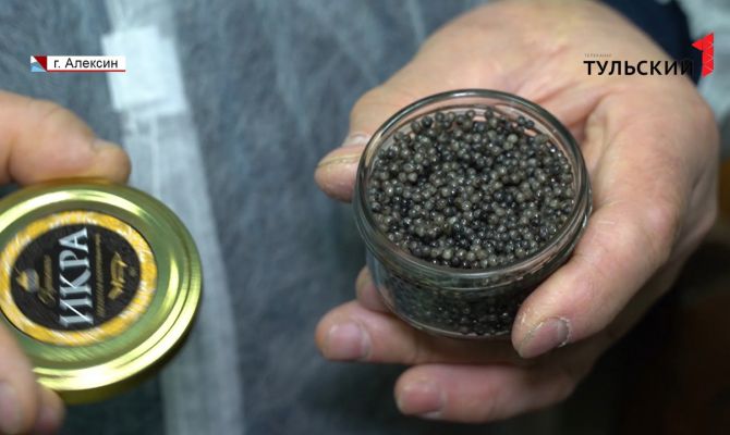 Производство черный икры под Алексином: сколько стоит тульский деликатес