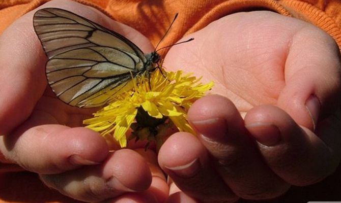 Тула не вошла в список самых добрых городов России