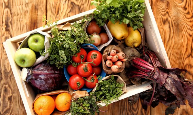 Стандарты для экологически чистых продуктов разработали в России 