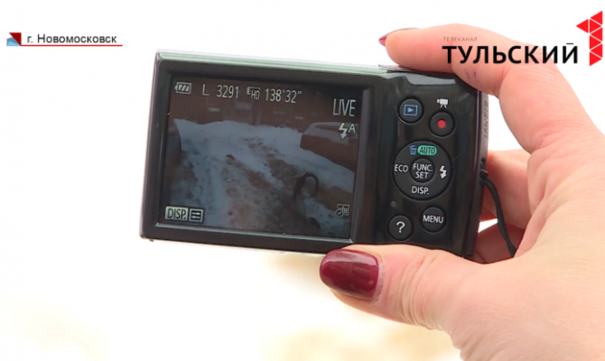 Поймать мгновение: новомосковский фотограф стал одним из лучших в России