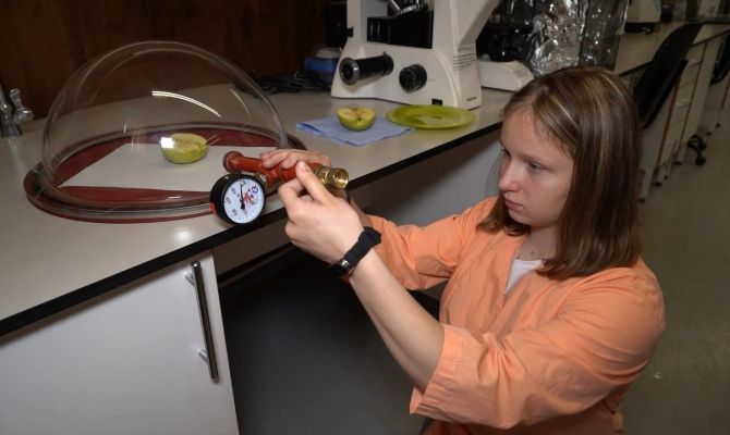 Тульские школьники нашли способ продлить срок годности овощей, фруктов и ягод