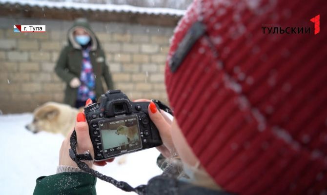 Почему в тульском приюте «Любимец» животные на время стали фотомоделями