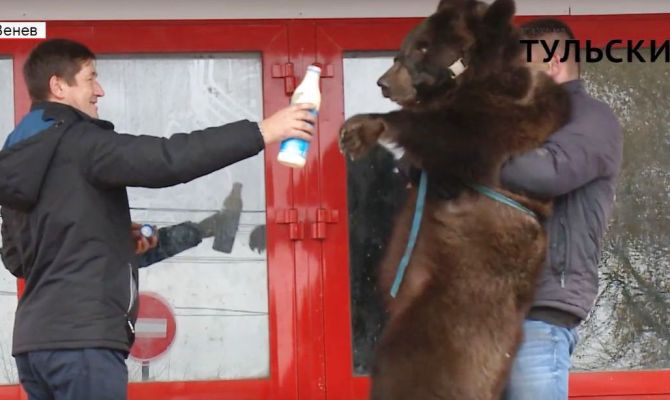 Двухлетняя 95-килограммовая Маша удивила жителей Венева