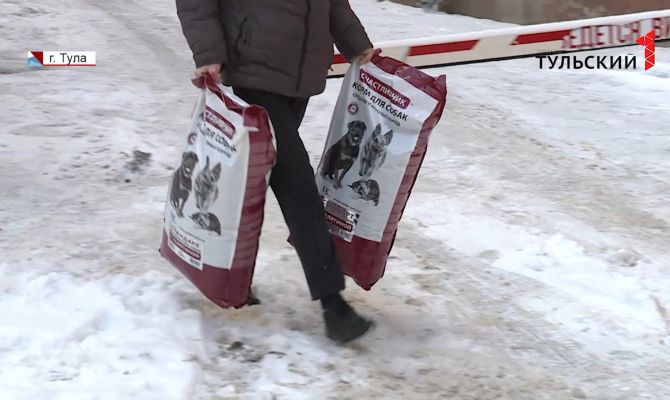 Волонтеры пришли на помощь тулячке, которая содержит больше 40 собак и кошек