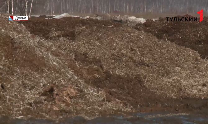 "Куриный могильник" продолжает гнить: виновник не спешит убираться