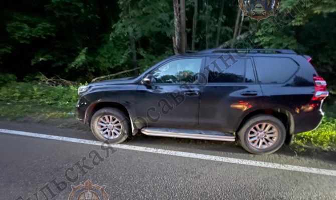 В Алексине сбили 37-летнюю женщину на проезжей части