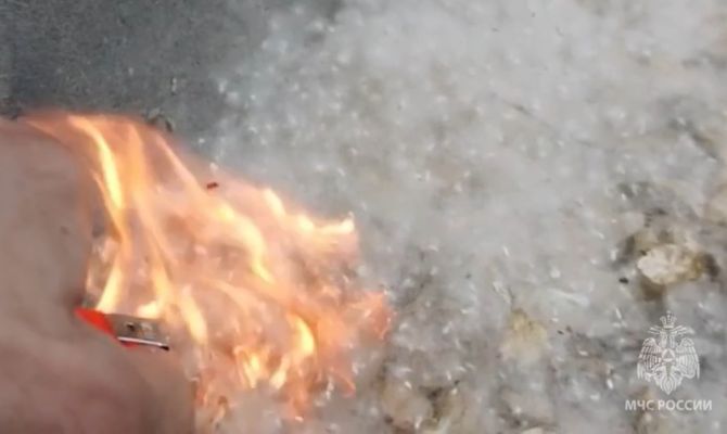 Неправильное обращение с тополиным пухом может обойтись в 120 тысяч рублей