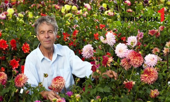 Тульский селекционер Олег Дороганов выращивает георгины-великаны на своем участке