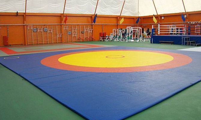 Туляк победил на Кубке президента Международной федерации самбо