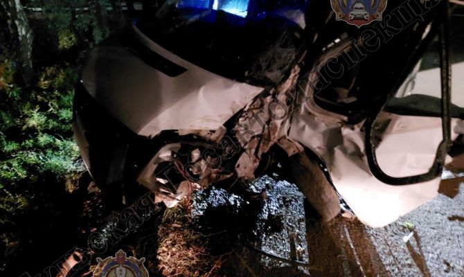 Пьяного водителя госпитализировали после столкновения с деревом в Узловском районе