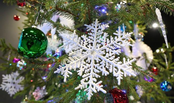 Туляков могут оштрафовать за шум в новогоднюю ночь