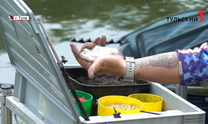 На берегу Упы определили лучшего рыболова Тульской области