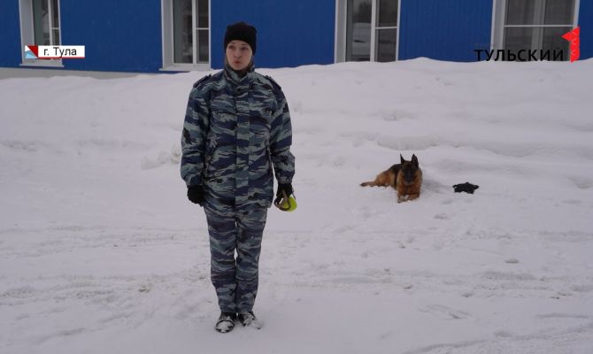 Из студентов - в полицейские: тулякам рассказали о тонкостях кинологической службы