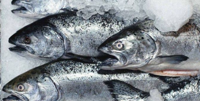 Тульское пищевое предприятие попало под санкции США