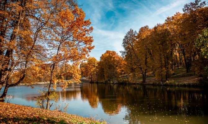 В Тульскую область придет глубокая осень