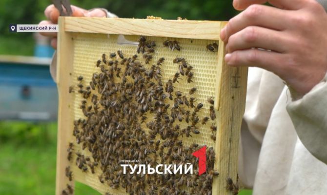 Ветераны СВО в Тульской области могут получить до 7 млн рублей на открытие фермы