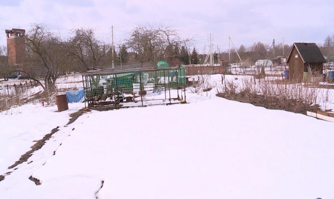 В Тульской области больше 300 дачников могут остаться без своих участков