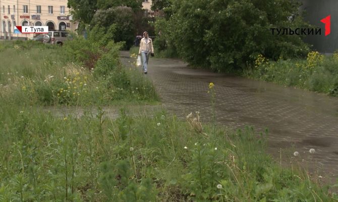Метровые сорняки, одуванчики и островки нетронутой степи: как выглядит Тула в первый день лета