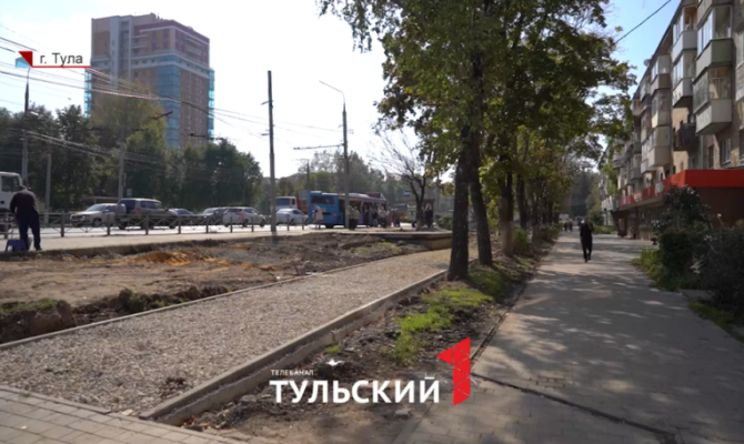 В центре Тулы деревья оказались под угрозой из-за строительства велохайвея