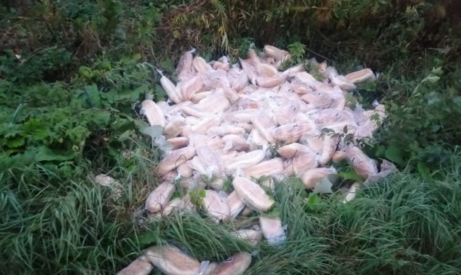 В Туле кто-то выбросил рядом с дорогой несколько десятков хлебных батонов