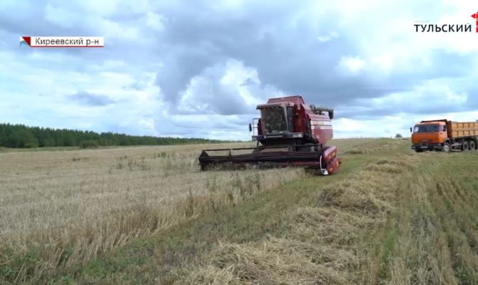Как в поселке Бородинский заключенные убирают урожай