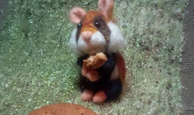 Туляки смогут сделать хомяка из шерсти