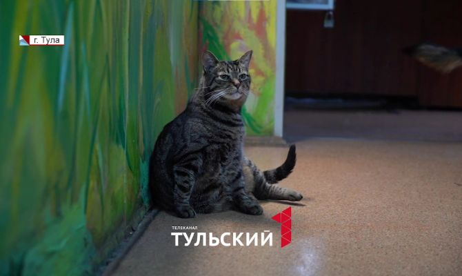 Кошка стала штатным психологом в тульском экзотариуме