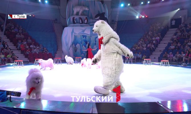 Туляков приглашают зарядиться новогодним настроением в разгар лета