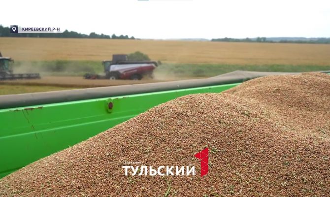 Аграрии дали прогноз на урожай 2025 с поправкой на погоду