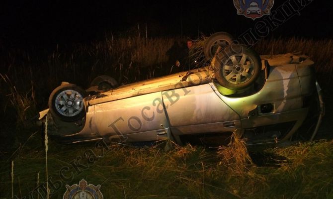 Лось спровоцировал смертельную аварию на трассе под Алексином