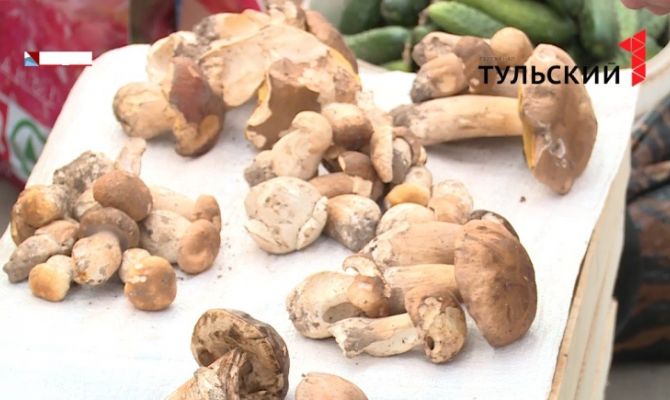 Роспотребнадзор рассказал, как не отравиться грибами 