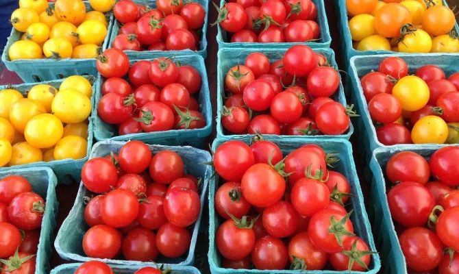 В ближайшие 5 лет Россия должна полностью обеспечить себя томатами