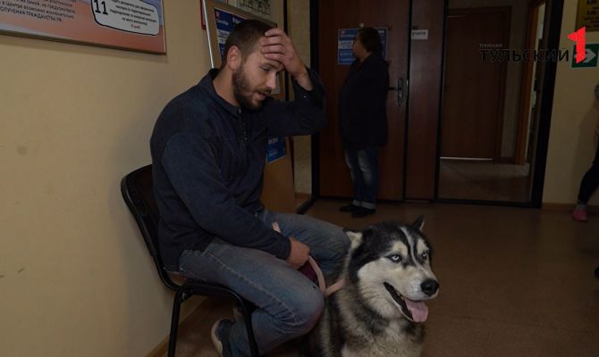 Участники референдума в Тульской области поделились удивительными историями спасения