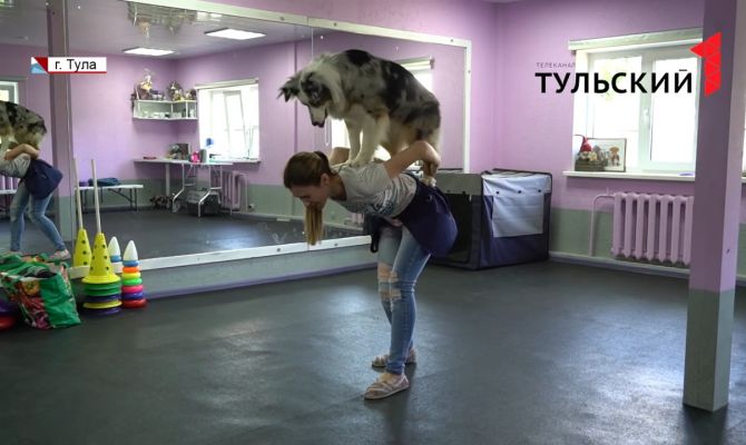 Как туляки могут научить собаку выключать свет или убираться в комнате