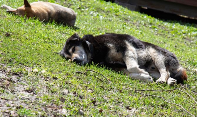 В Туле 23 июня будет до 25 градусов тепла