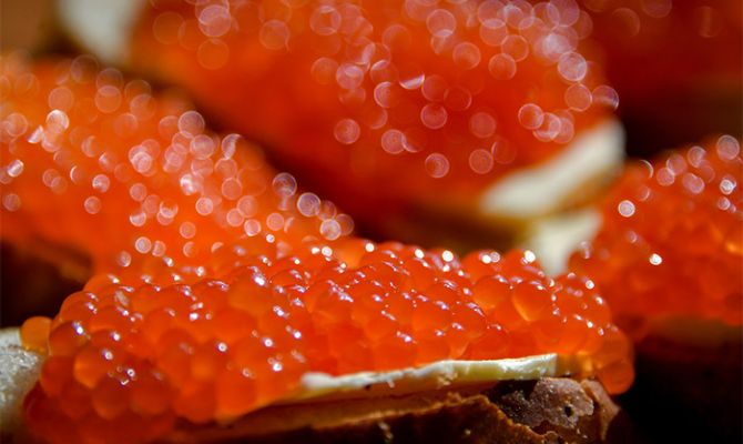 Туляки начали переходить на альтернативные виды икры