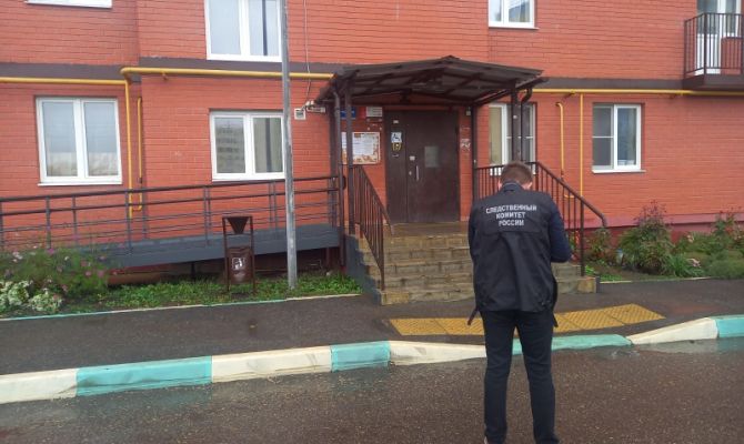 Следственный комитет начал проверку по факту нападения бродячих собак на ребенка в Узловой