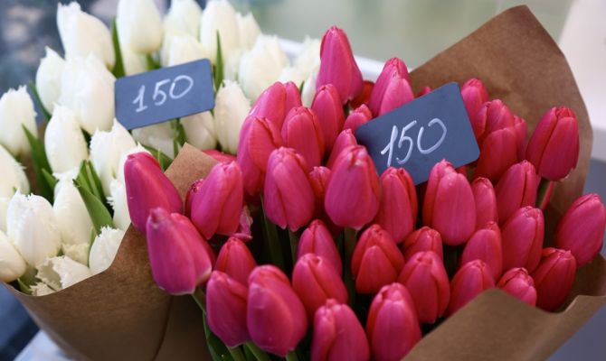 Сколько будут стоить цветы к 8 Марта: мнение флориста