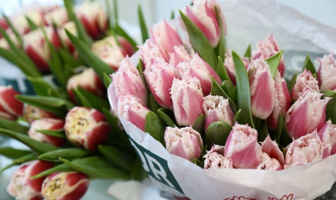 В Туле перед 8 Марта возросли цены на цветы 