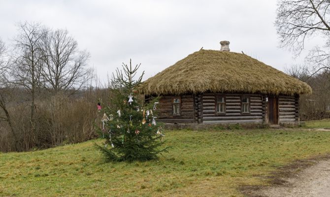 В Ясной Поляне нарядили новогоднюю елку