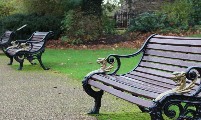 Туляков приглашают на сеанс трудотерапии в Богородицком парке