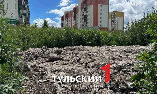 Жители Киреевска восьмой год жалуются на разлив канализации возле СНТ «Горняк»