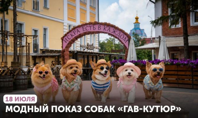 Дмитрий Миляев объявил о переносе первого модного показа собак «ГАВ-КУТЮР»
