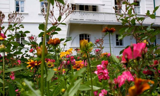 «Яблоня Толстого в твоем саду»: тулякам расскажут об усадебном цветоводстве