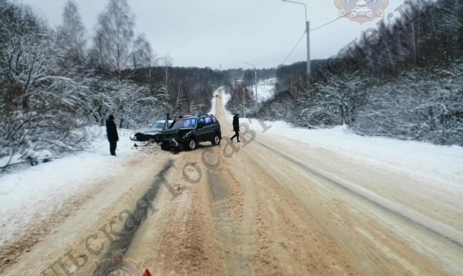 Под Алексином водитель Chevrolet Niva выехал на встречную и врезался в Mercedes