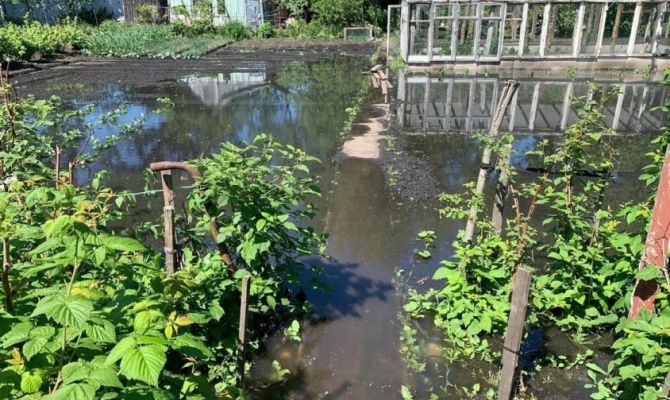 Тульская исправительная колония заплатит более 3 млн рублей за сброс нечистот на дачные участки