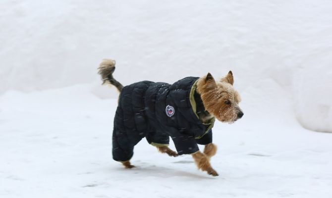 21 февраля в Туле потеплеет до -1 градуса