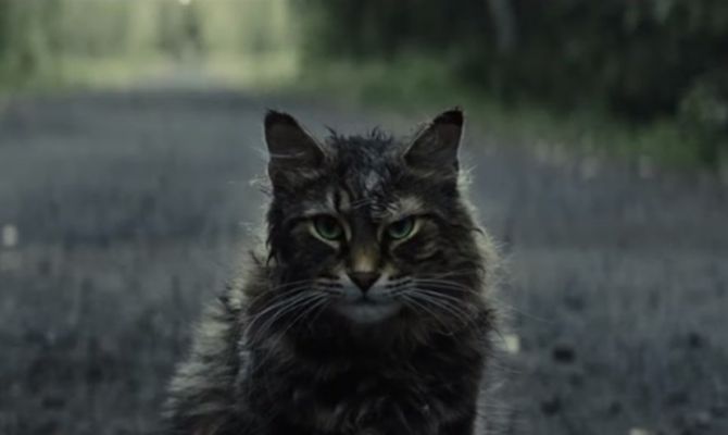 В новомосковском парке нашли кладбище домашних животных